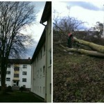 2015-04-12_21.49.33_resized